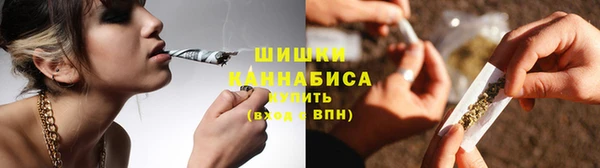ешки Аркадак