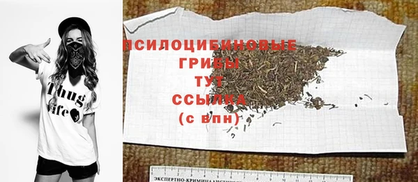 ешки Аркадак